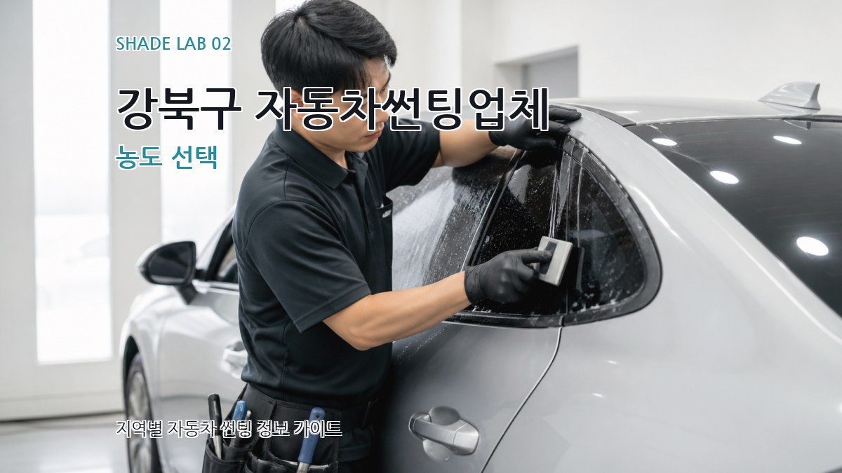 강북구 자동차썬팅업체 농도 선택