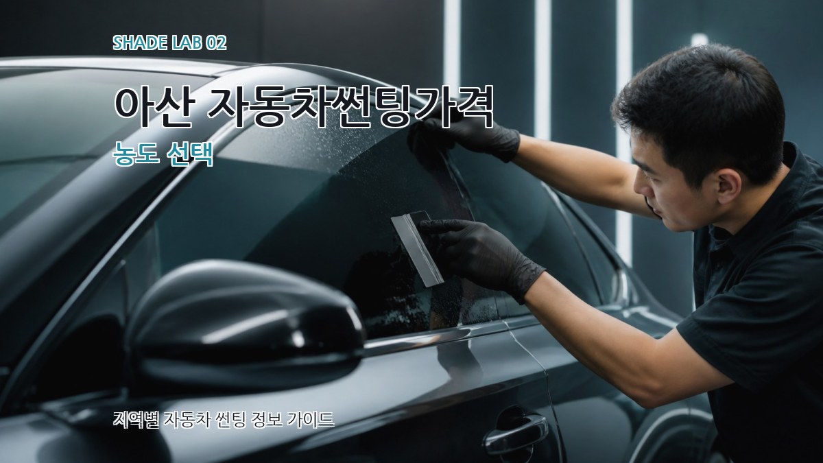 아산 자동차썬팅가격 농도 선택