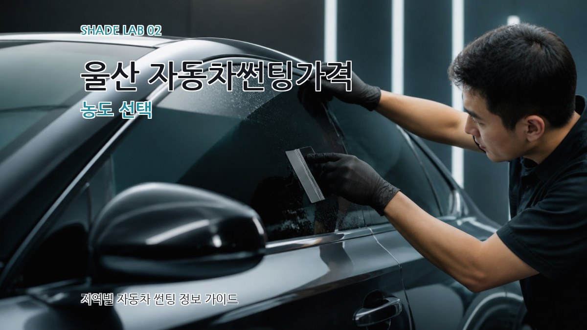울산 자동차썬팅가격 농도 선택
