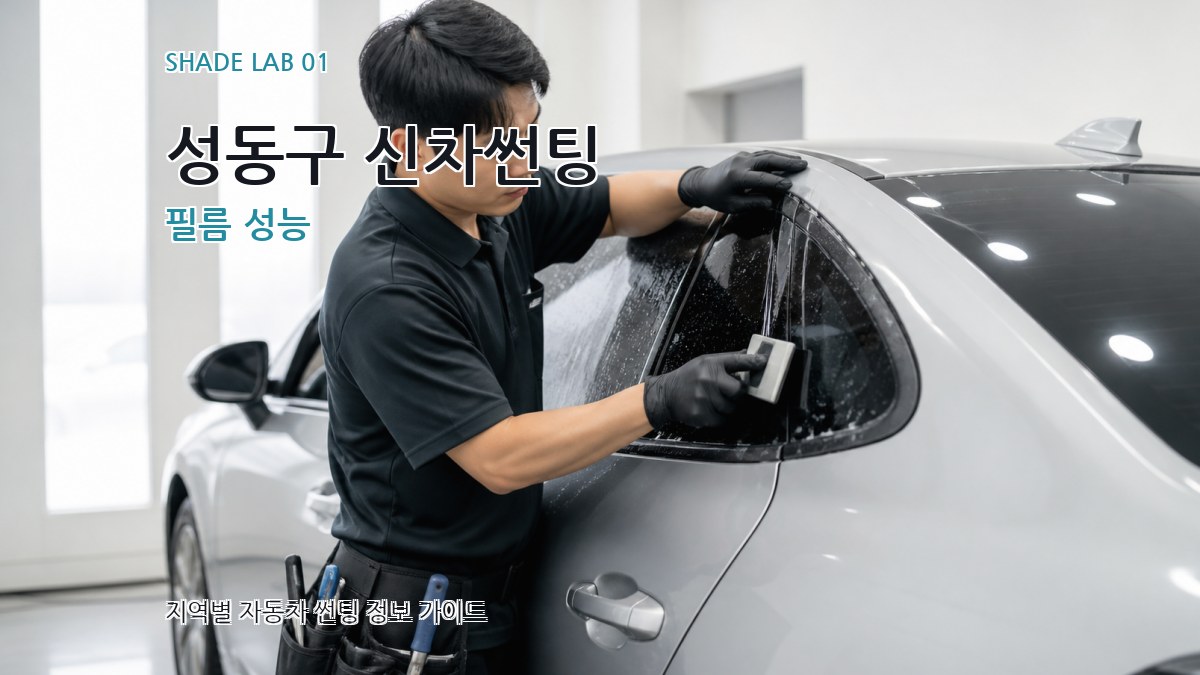 성동구 신차썬팅