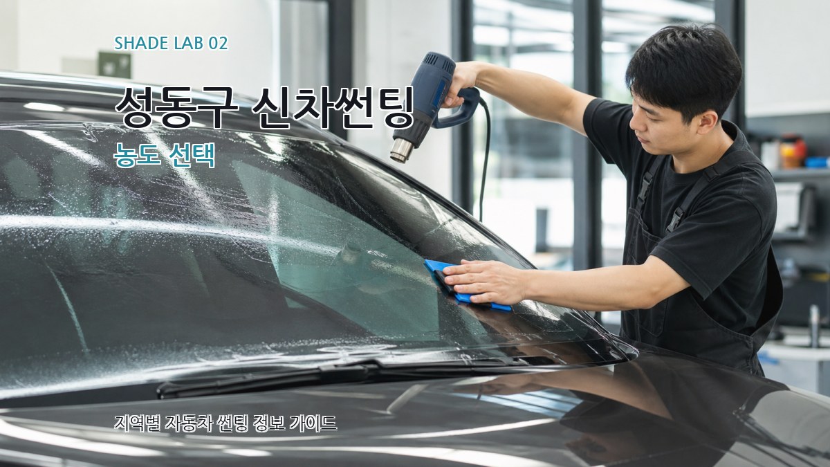 성동구 신차썬팅 농도 선택