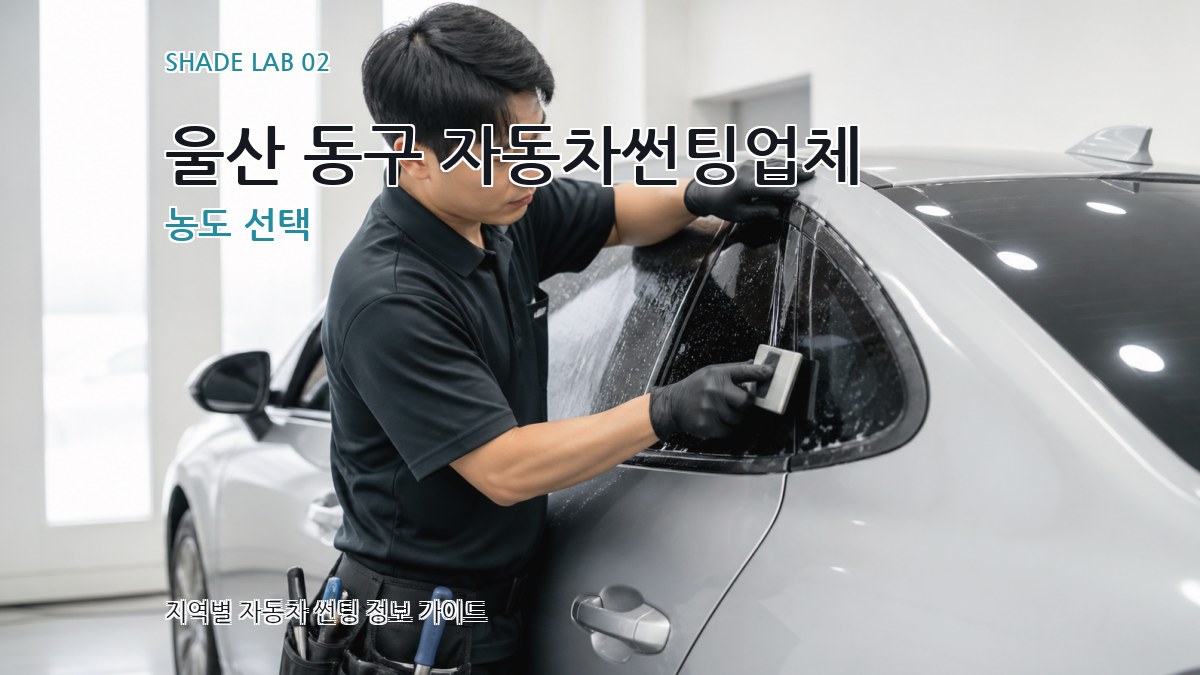 울산 동구 자동차썬팅업체 농도 선택