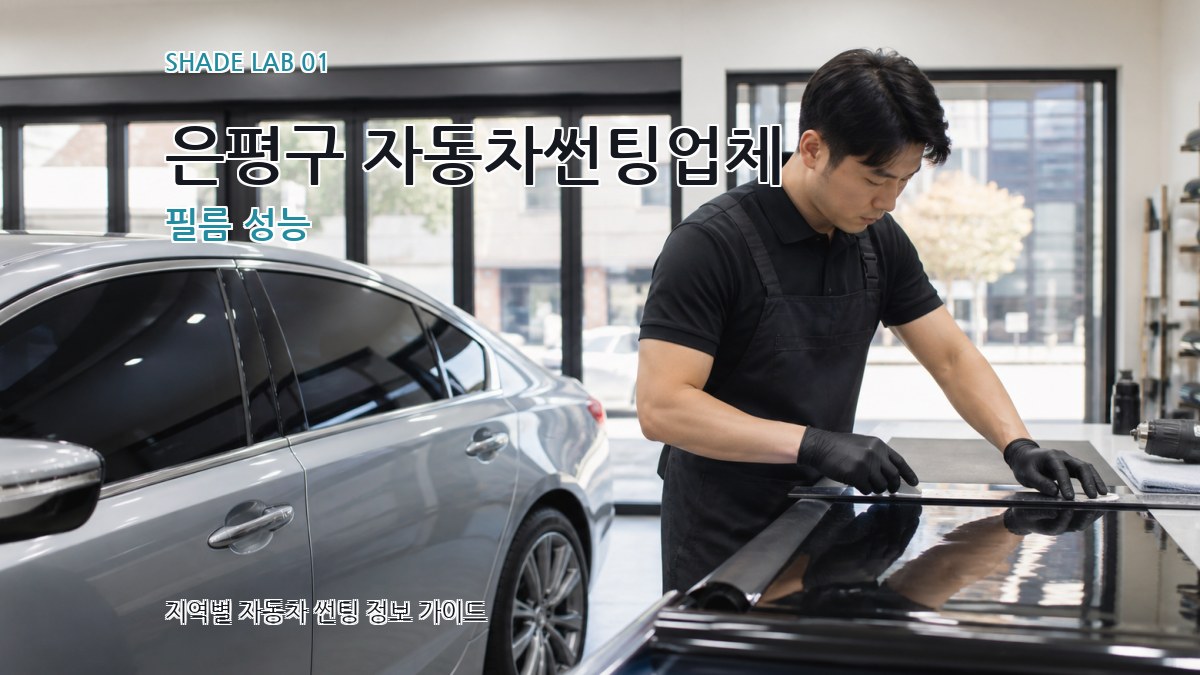 은평구 자동차썬팅업체