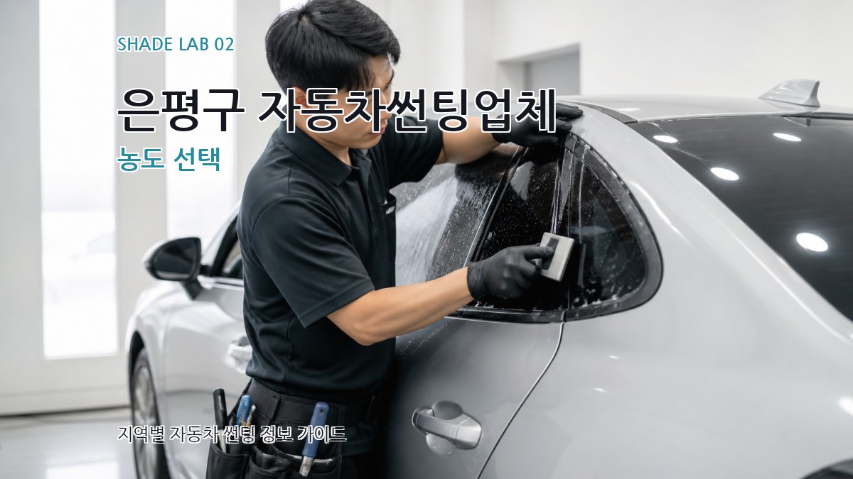 은평구 자동차썬팅업체 농도 선택