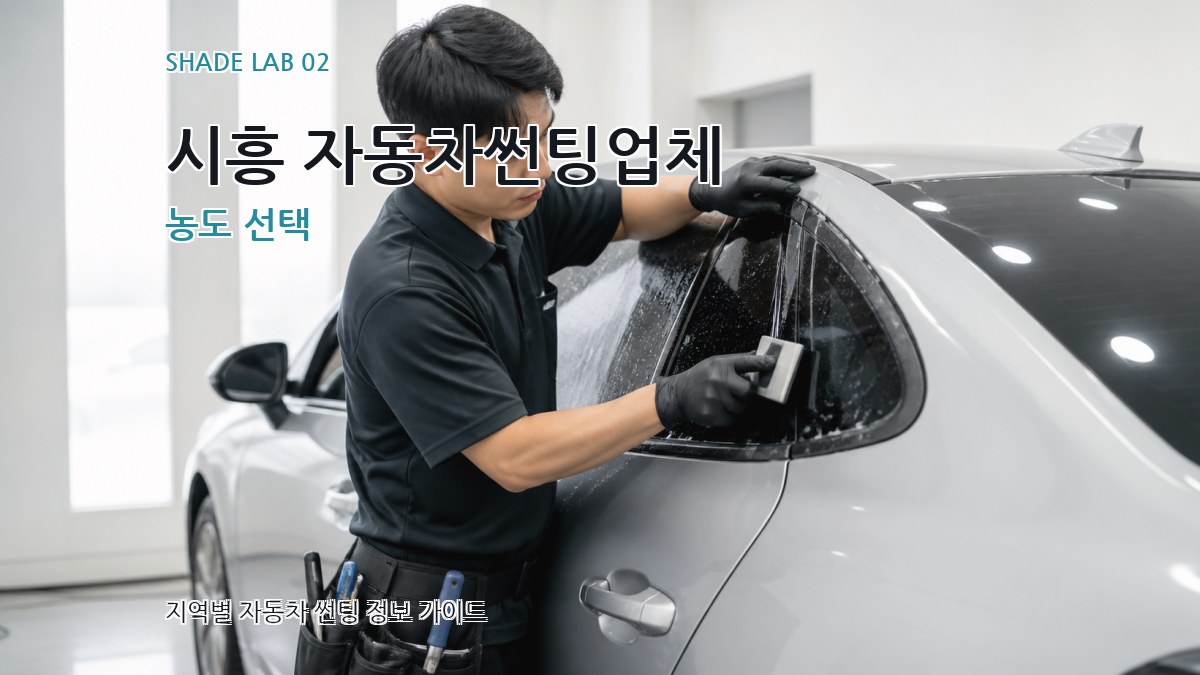 시흥 자동차썬팅업체 농도 선택