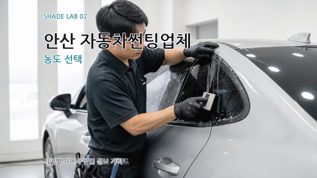 안산 자동차썬팅업체 농도 선택