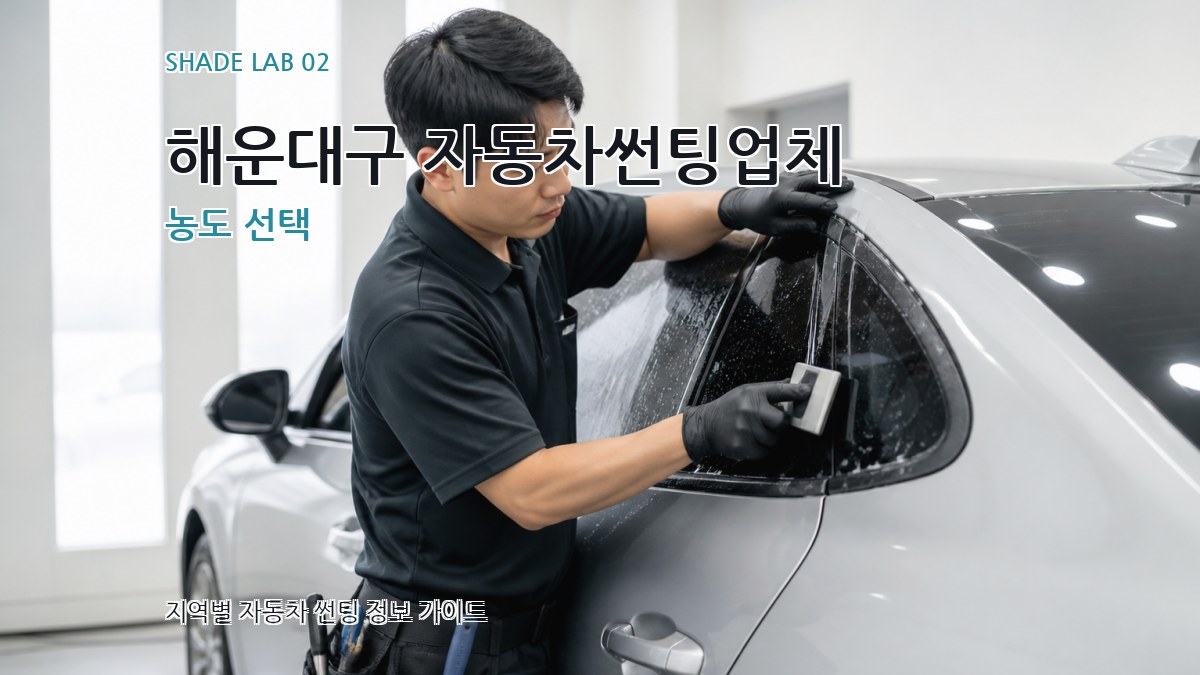 해운대구 자동차썬팅업체 농도 선택