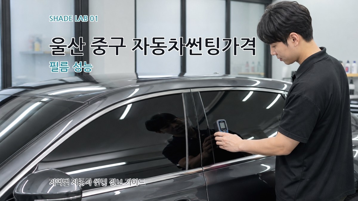 울산 중구 자동차썬팅가격