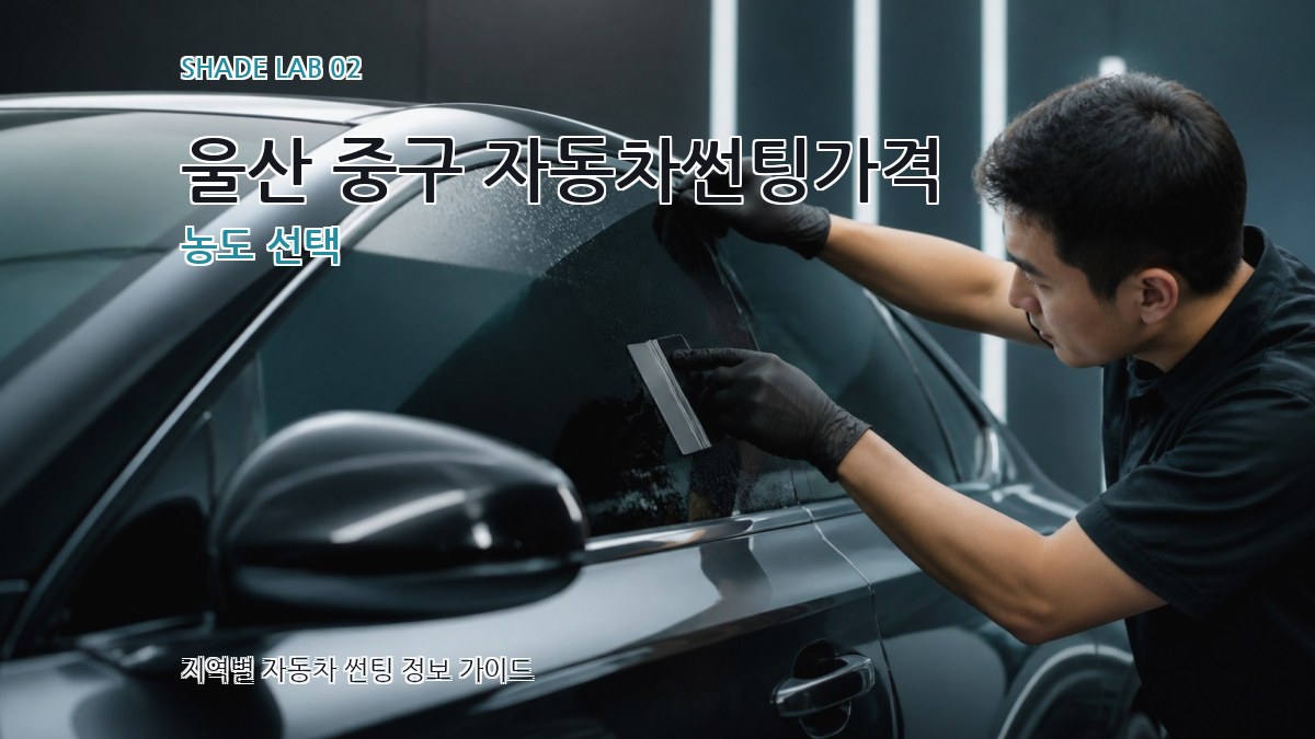 울산 중구 자동차썬팅가격 농도 선택