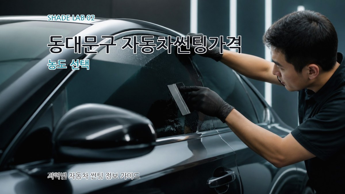 동대문구 자동차썬팅가격 농도 선택