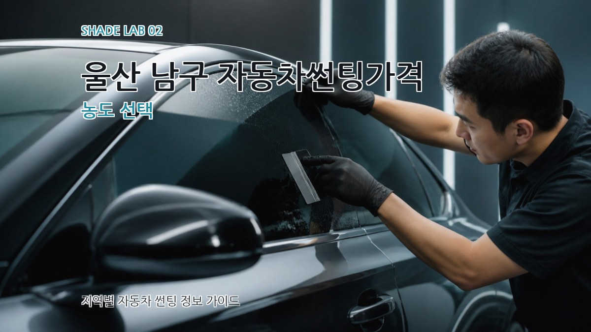 울산 남구 자동차썬팅가격 농도 선택