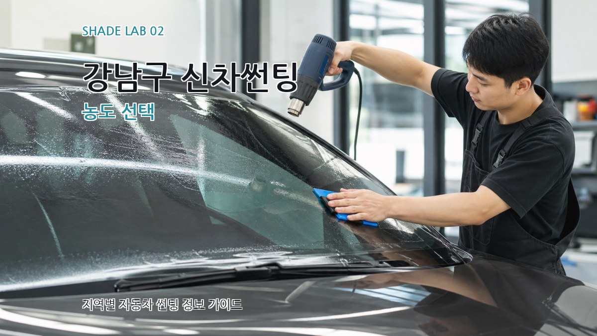 강남구 신차썬팅 농도 선택