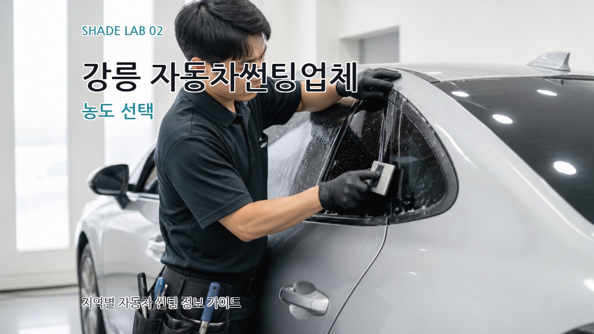 강릉 자동차썬팅업체 농도 선택