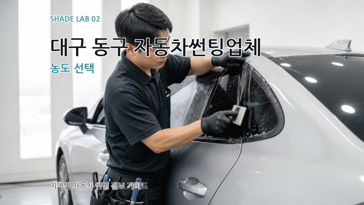 대구 동구 자동차썬팅업체 농도 선택