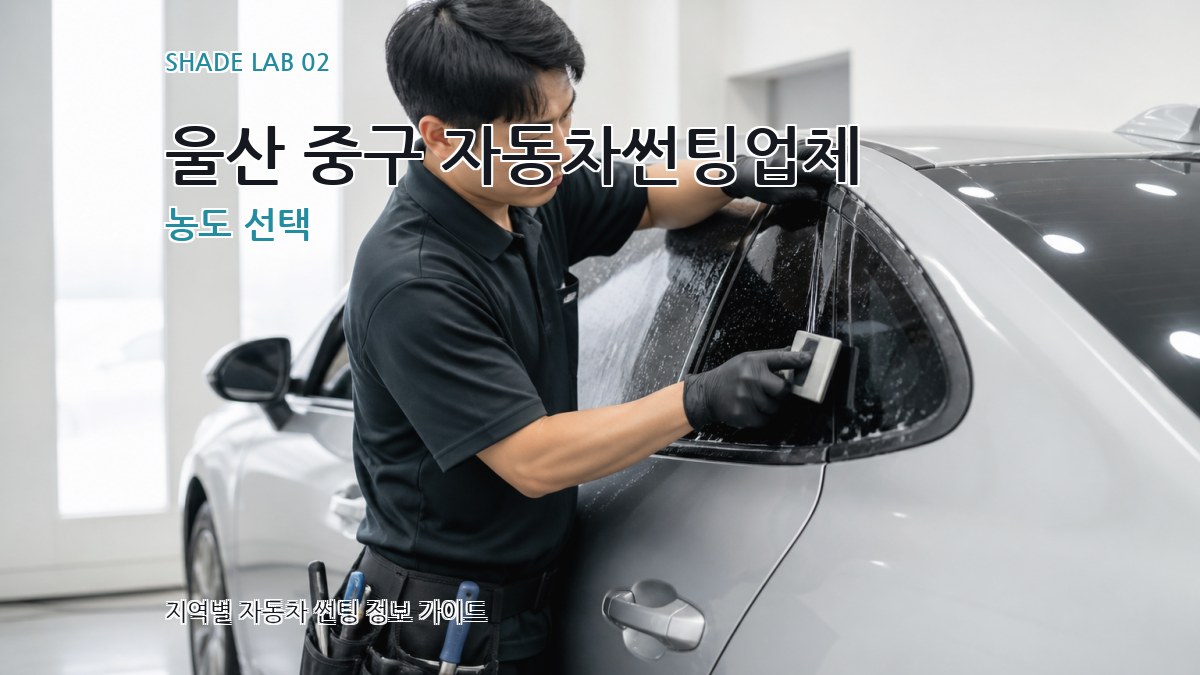 울산 중구 자동차썬팅업체 농도 선택