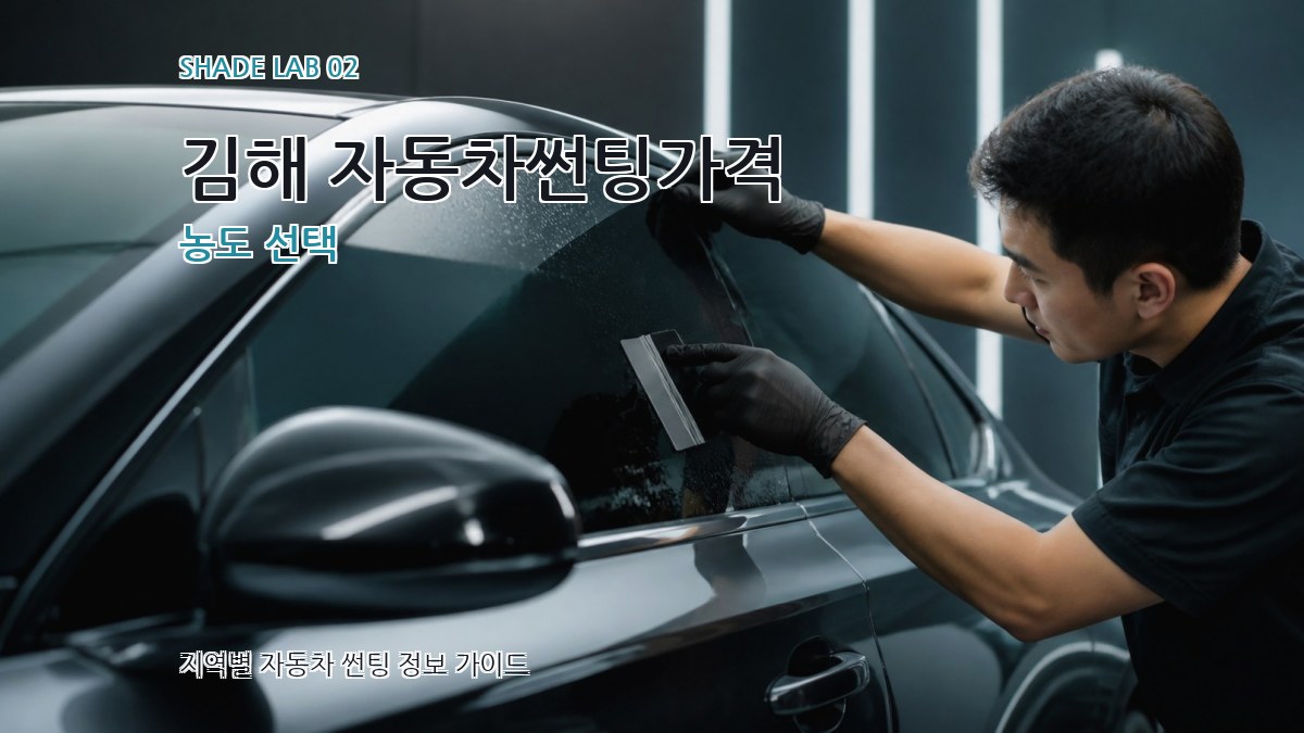 김해 자동차썬팅가격 농도 선택