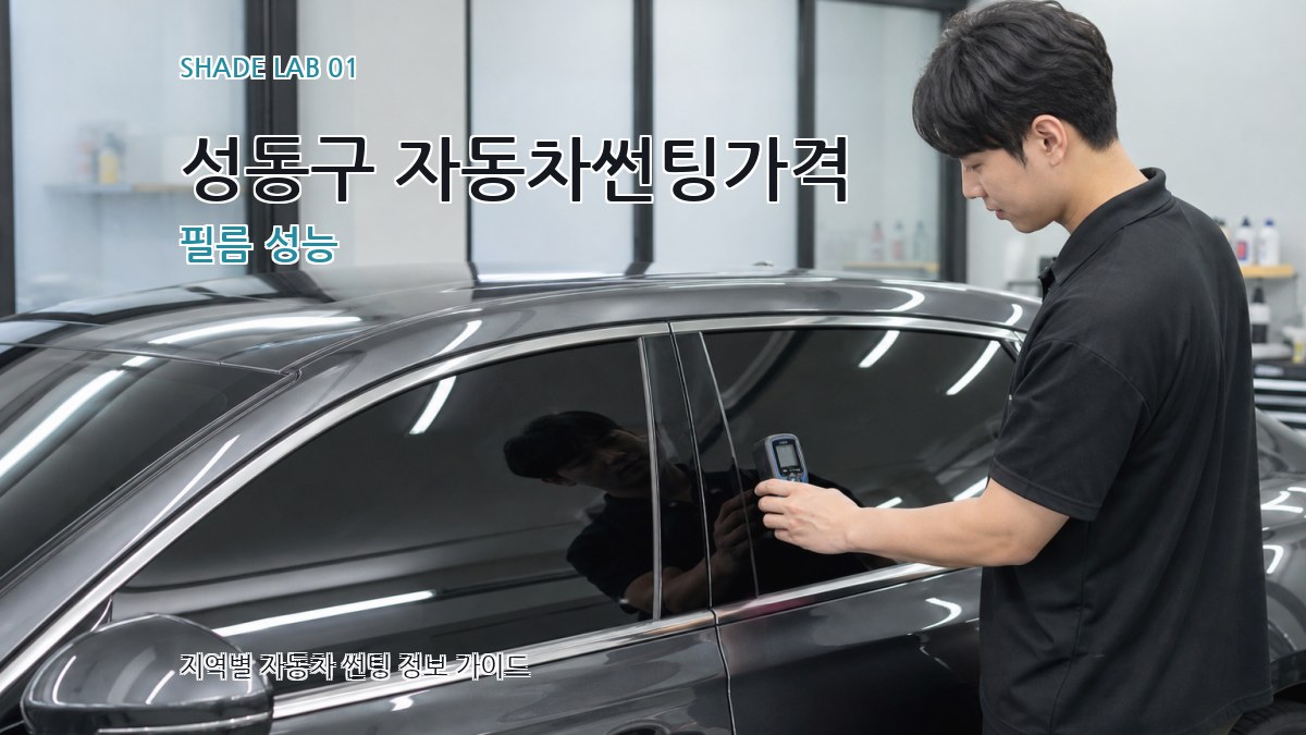 성동구 자동차썬팅가격