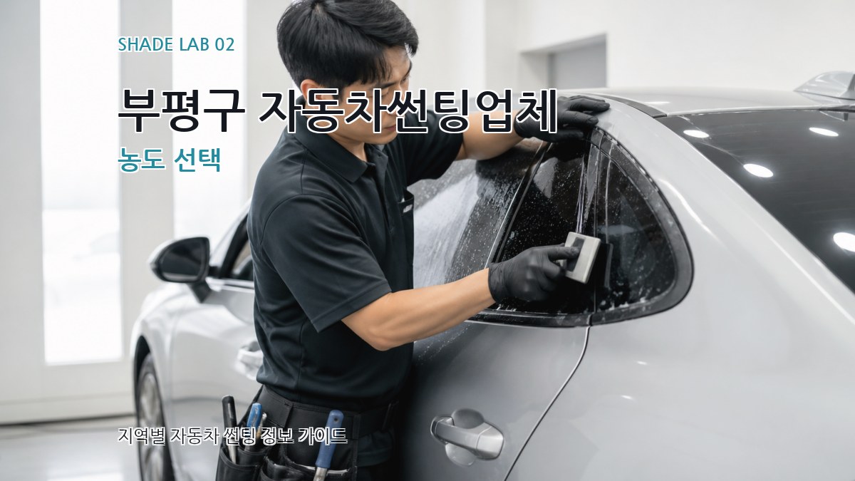 부평구 자동차썬팅업체 농도 선택