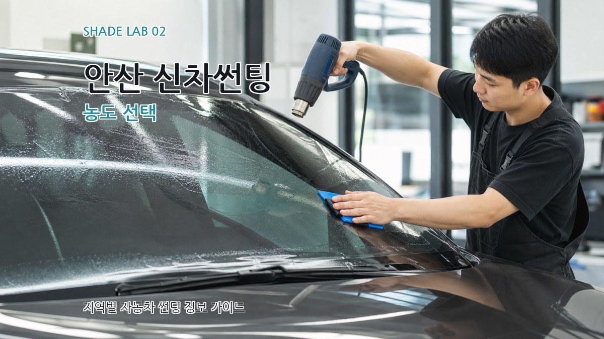안산 신차썬팅 농도 선택