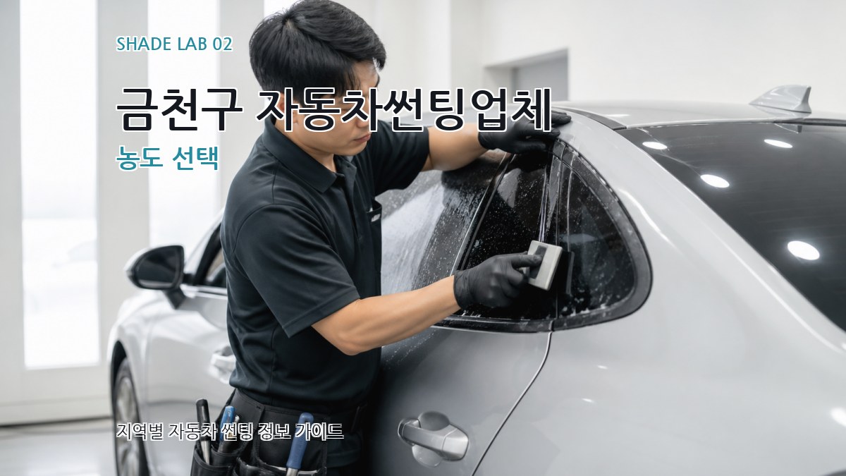 금천구 자동차썬팅업체 농도 선택