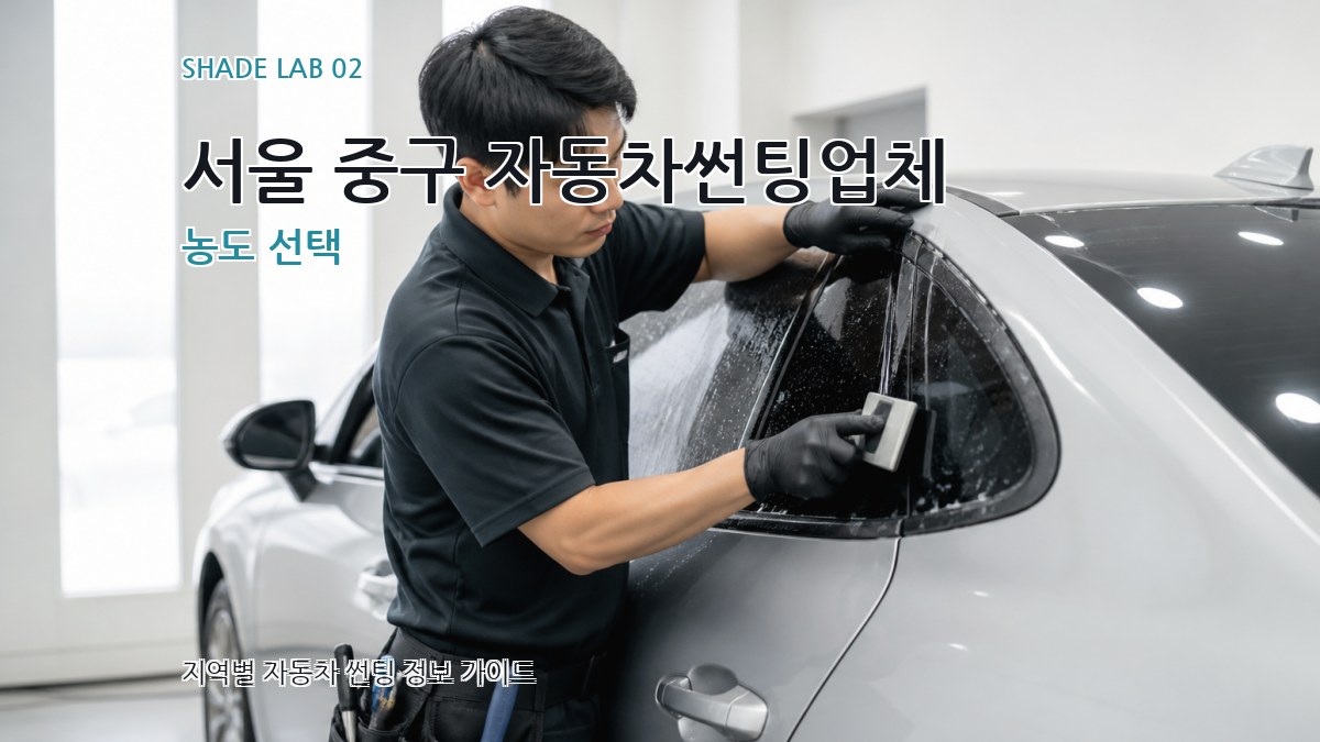 서울 중구 자동차썬팅업체 농도 선택
