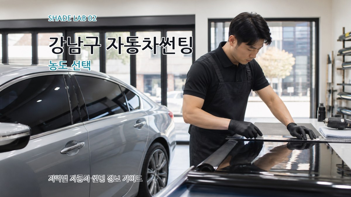 강남구 자동차썬팅 농도 선택