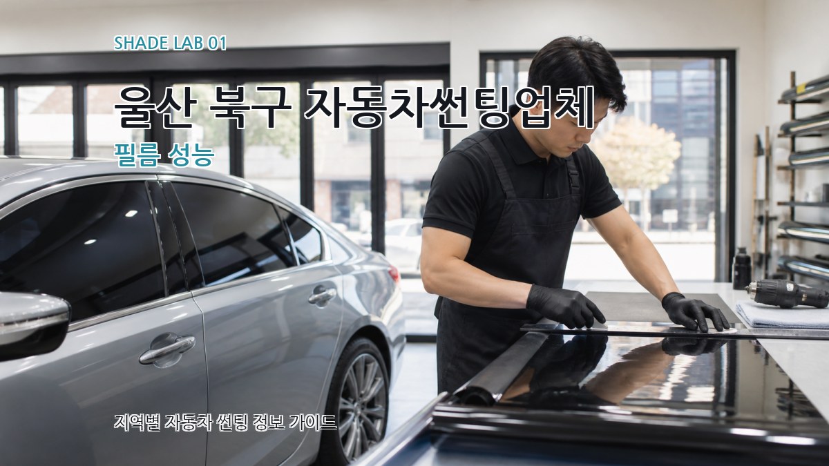 울산 북구 자동차썬팅업체
