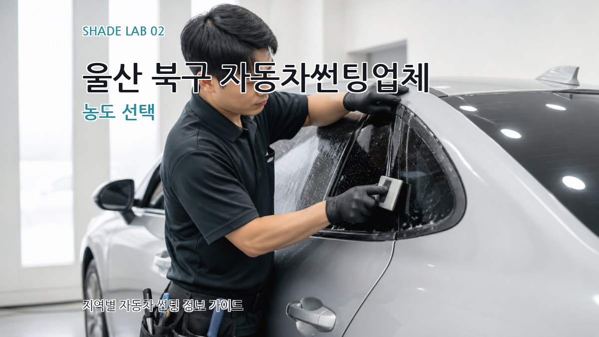 울산 북구 자동차썬팅업체 농도 선택