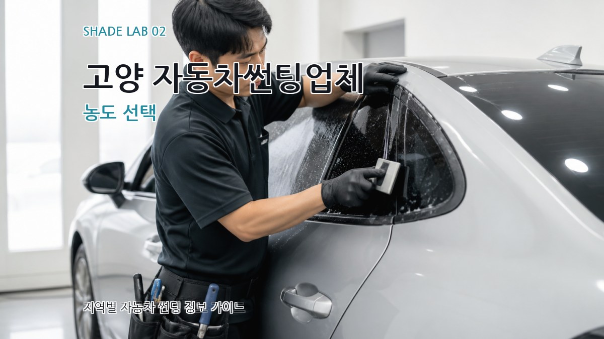 고양 자동차썬팅업체 농도 선택