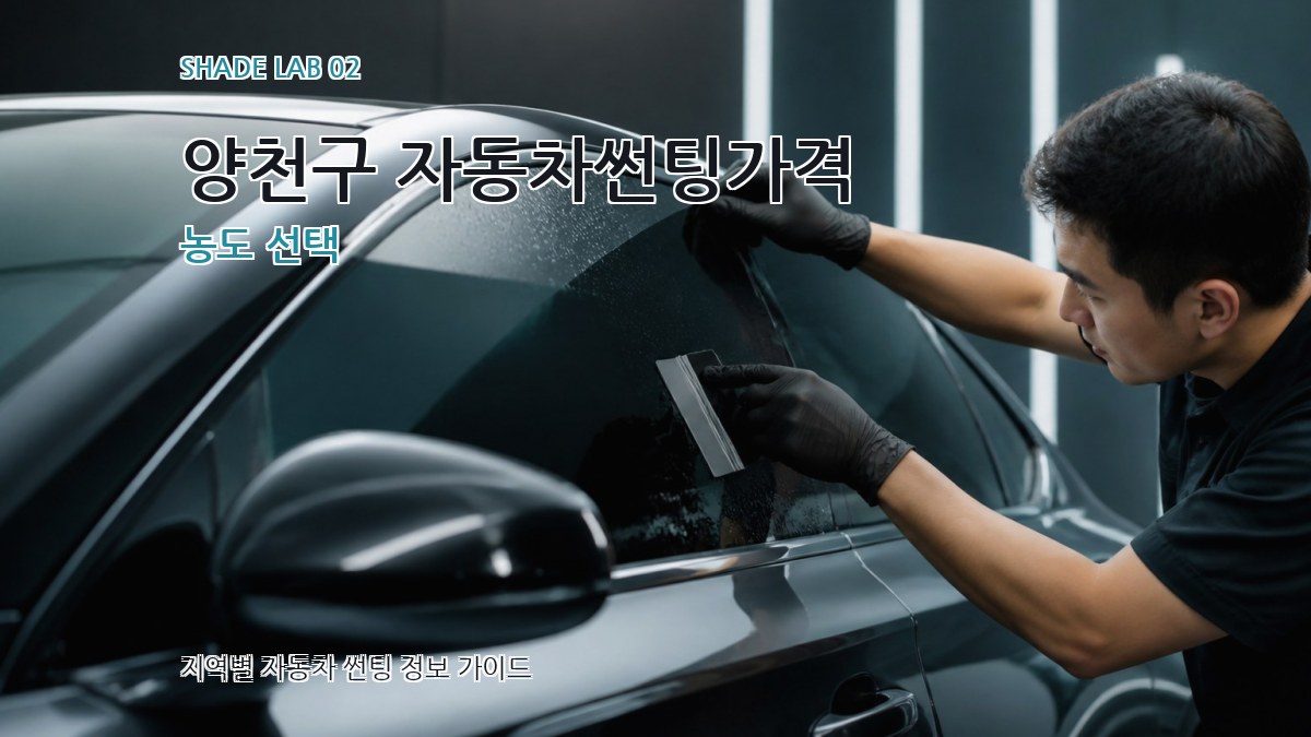 양천구 자동차썬팅가격 농도 선택