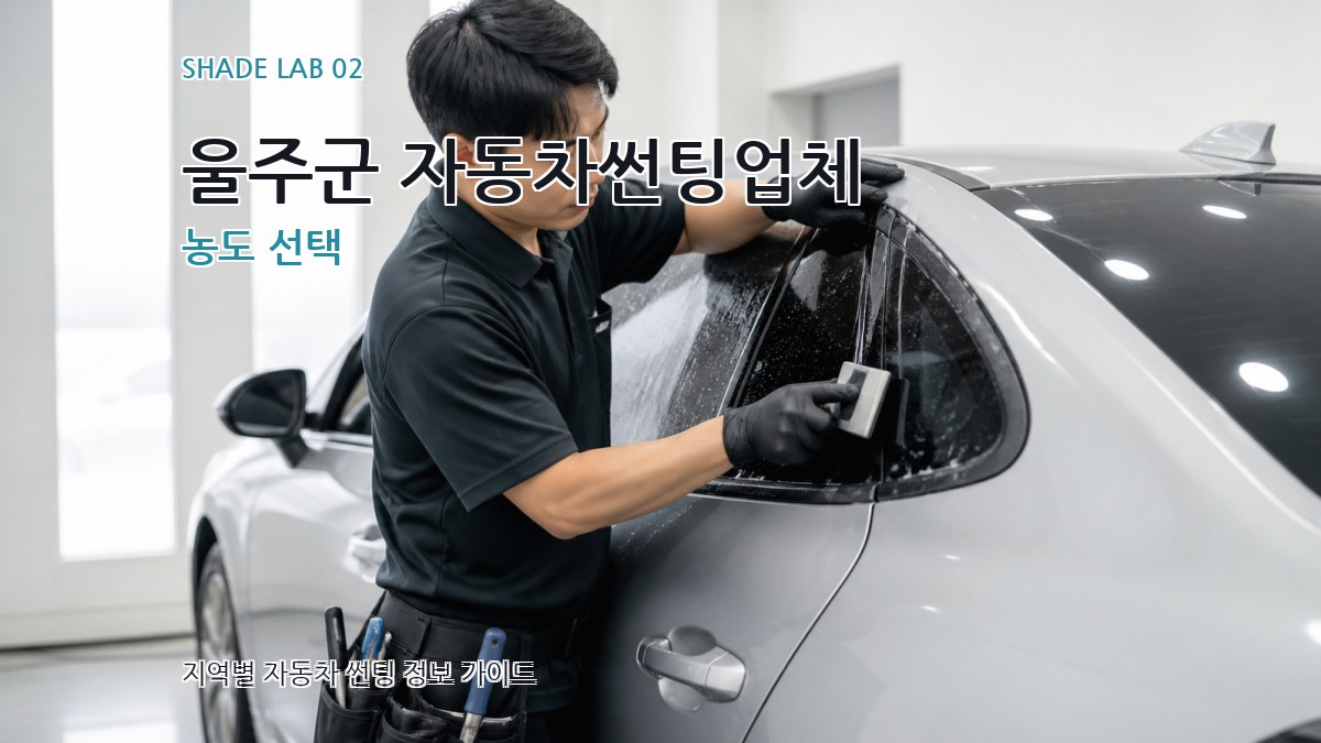 울주군 자동차썬팅업체 농도 선택