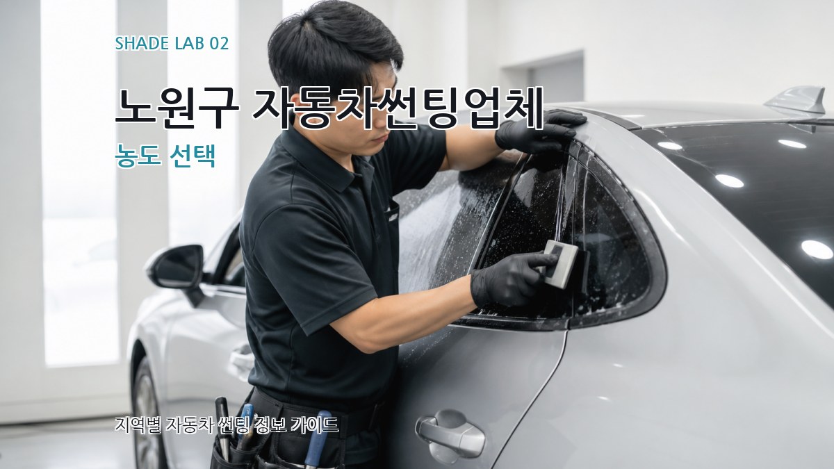 노원구 자동차썬팅업체 농도 선택
