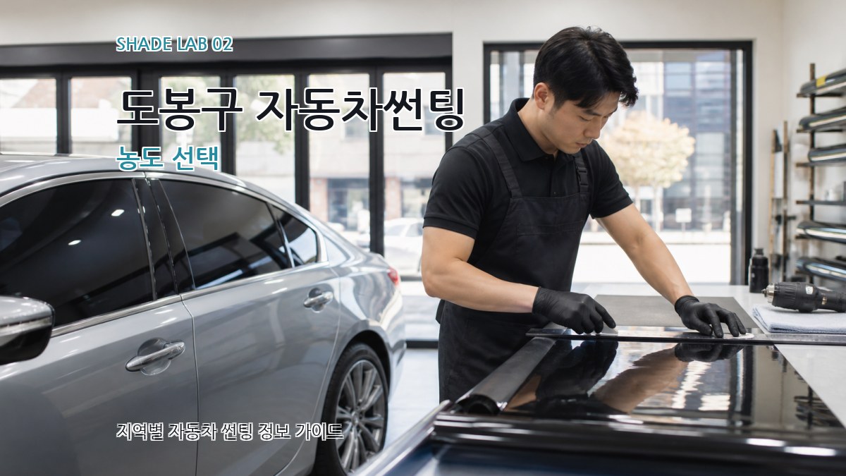 도봉구 자동차썬팅 농도 선택