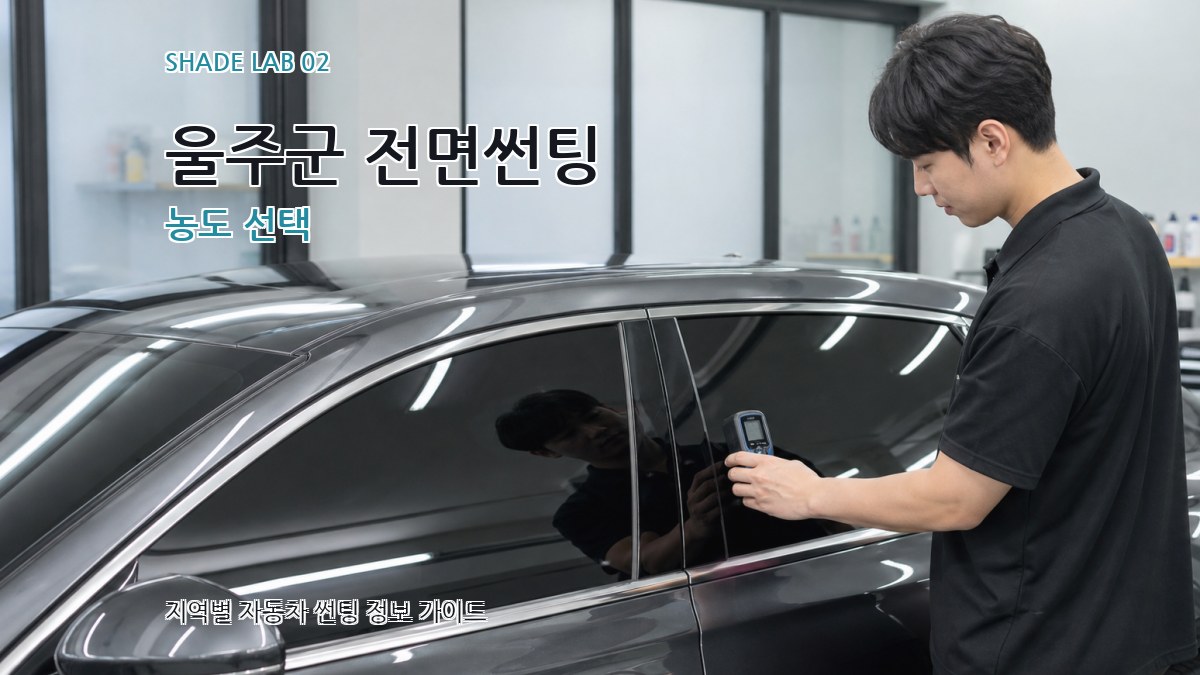 울주군 전면썬팅 농도 선택