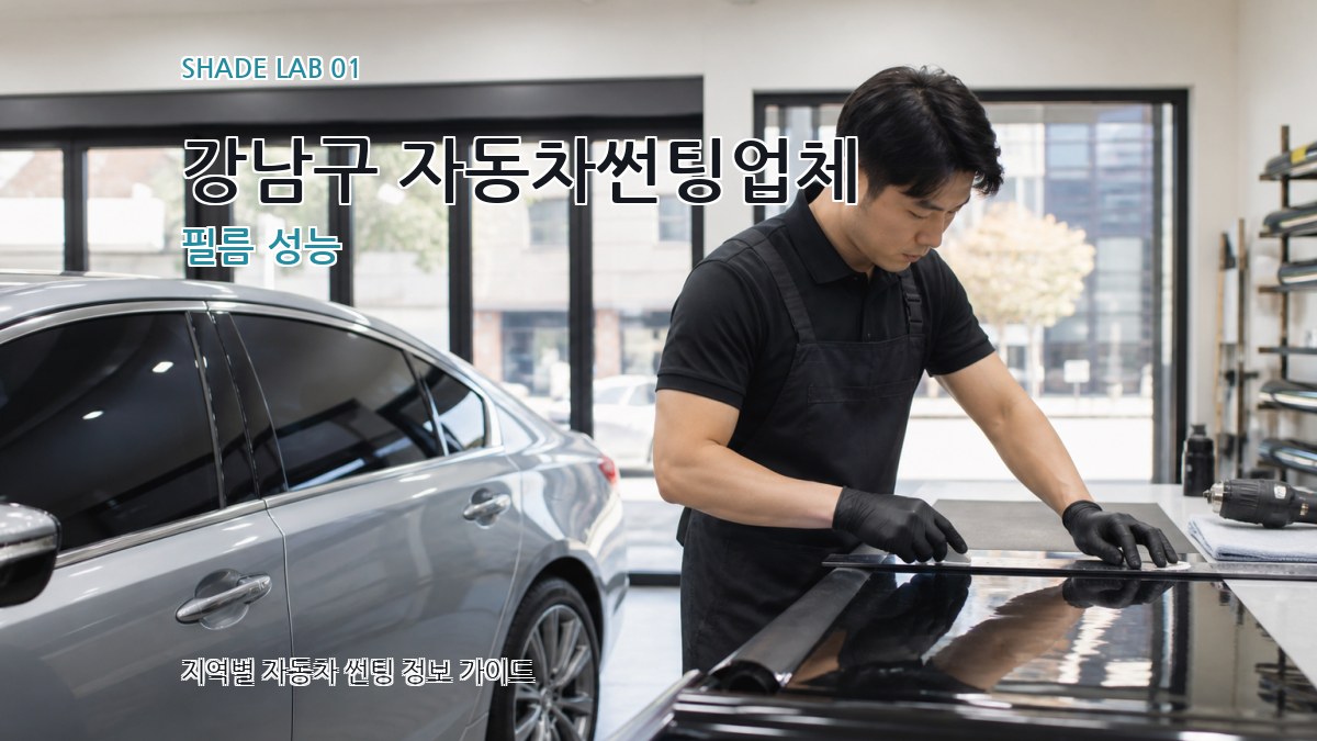 강남구 자동차썬팅업체