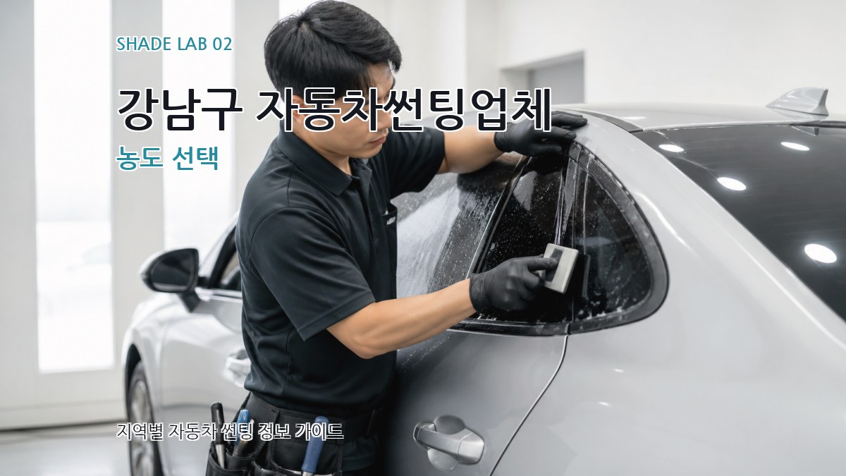 강남구 자동차썬팅업체 농도 선택