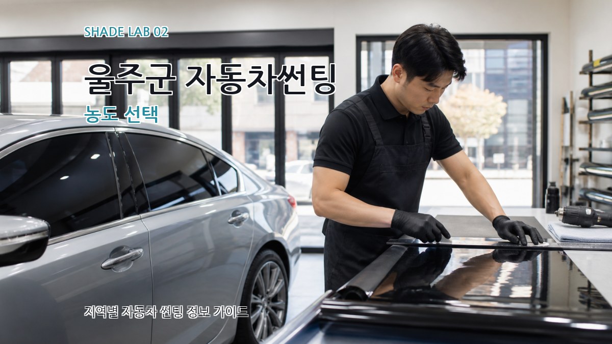 울주군 자동차썬팅 농도 선택