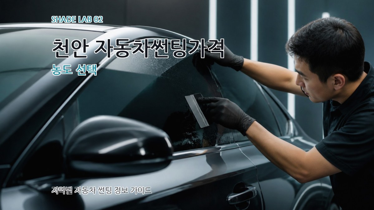 천안 자동차썬팅가격 농도 선택