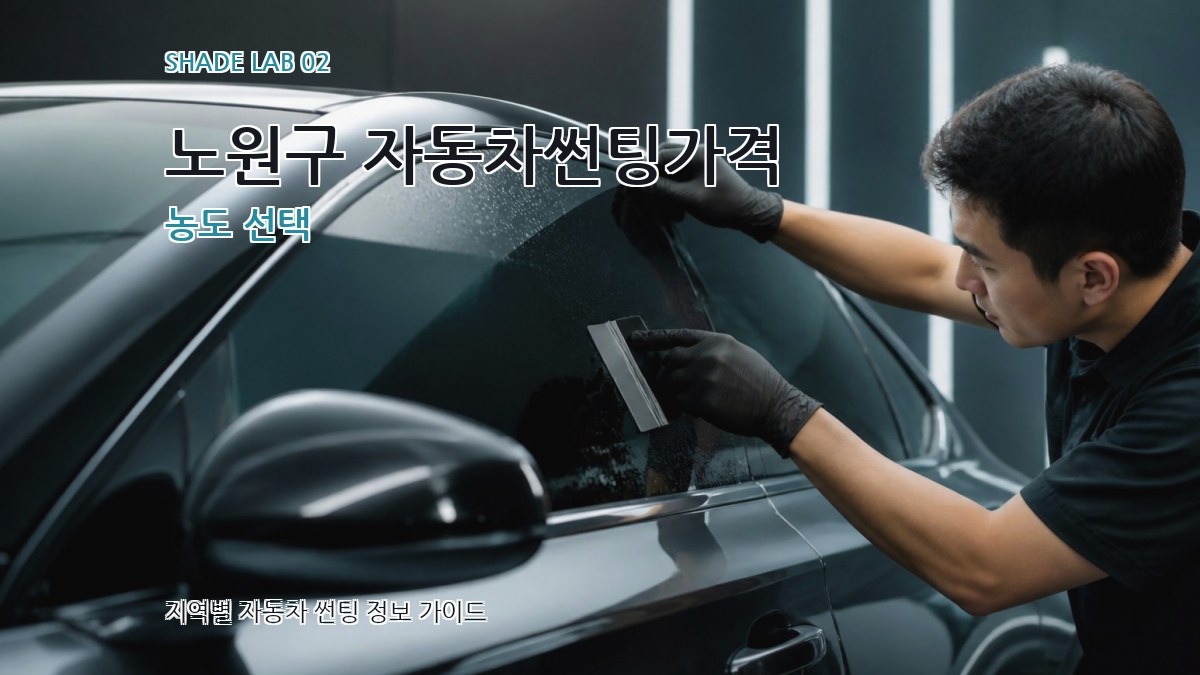 노원구 자동차썬팅가격 농도 선택