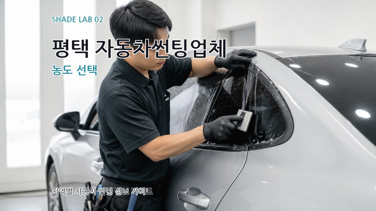 평택 자동차썬팅업체 농도 선택