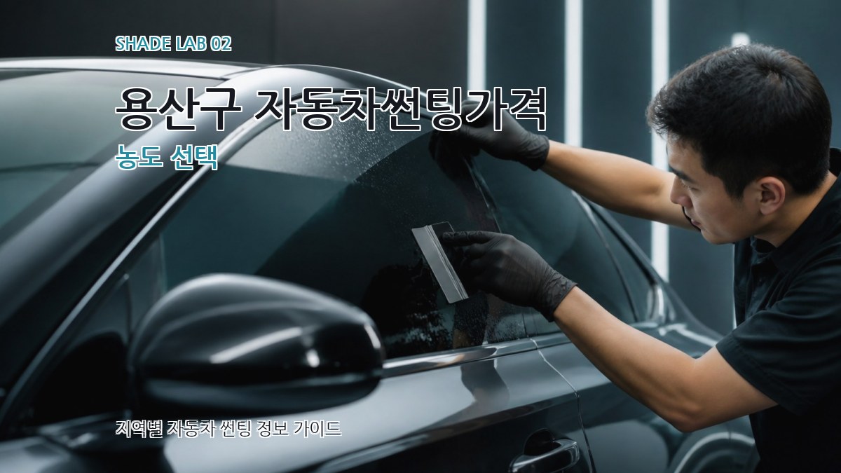 용산구 자동차썬팅가격 농도 선택