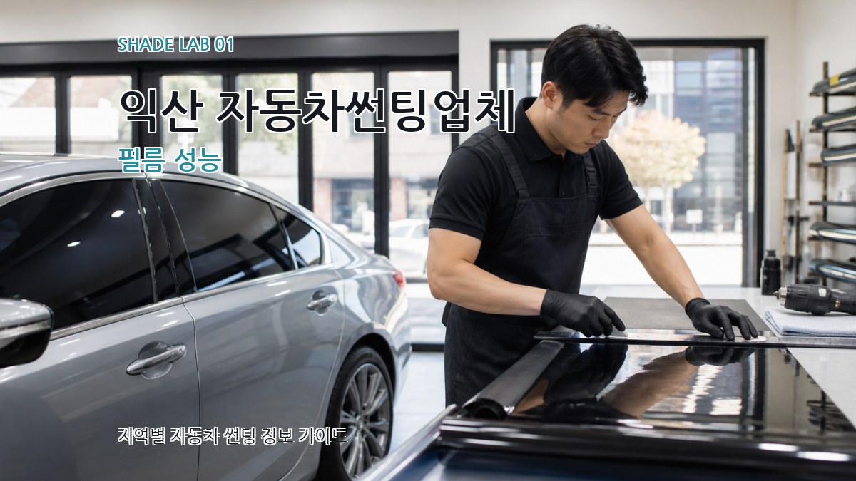 익산 자동차썬팅업체