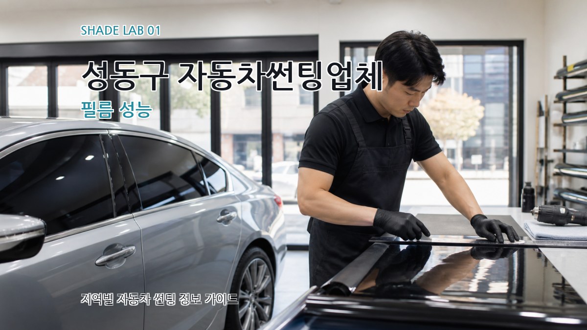 성동구 자동차썬팅업체