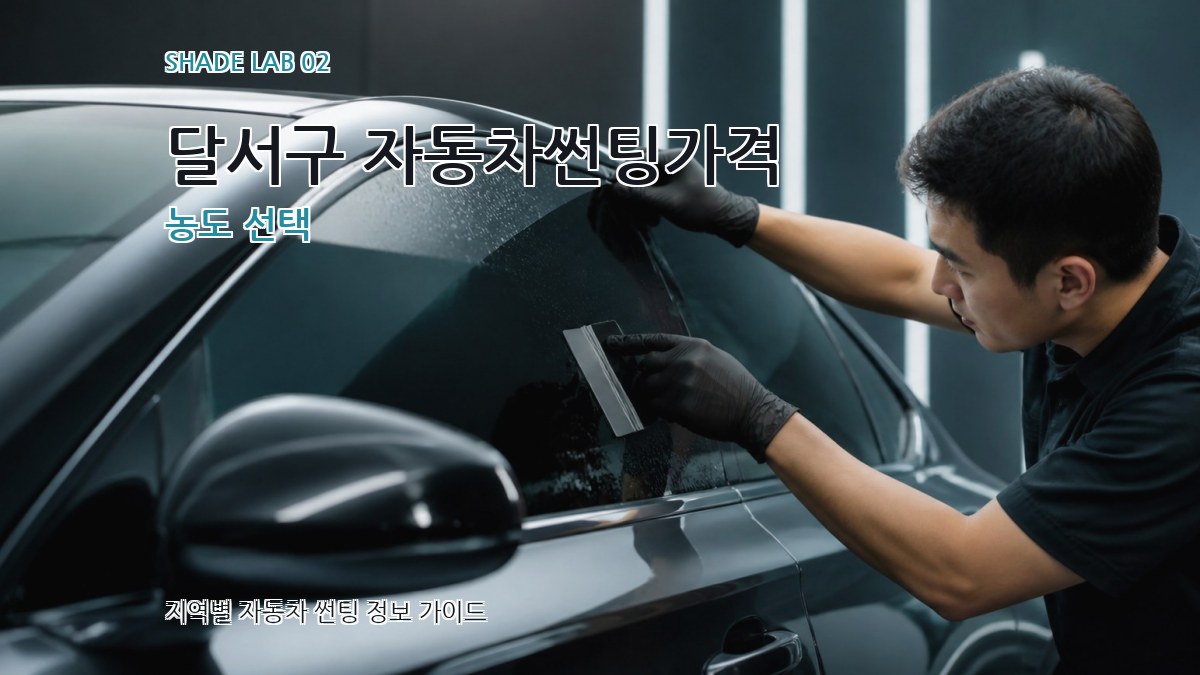 달서구 자동차썬팅가격 농도 선택