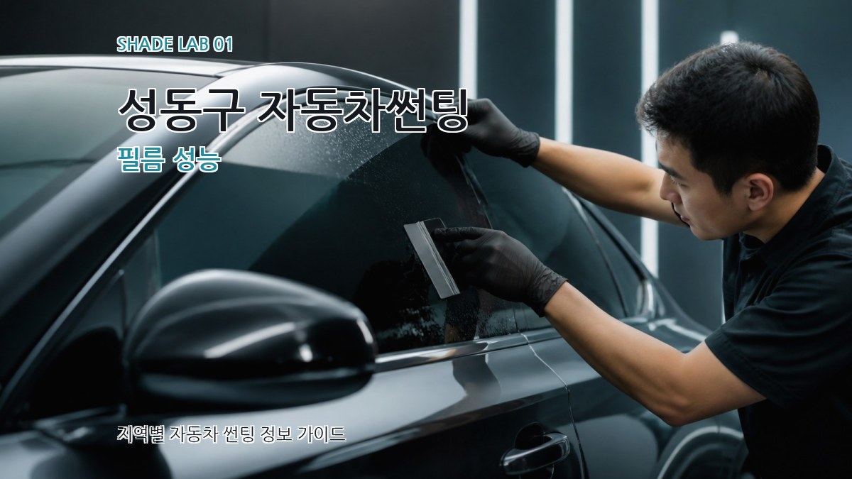 성동구 자동차썬팅
