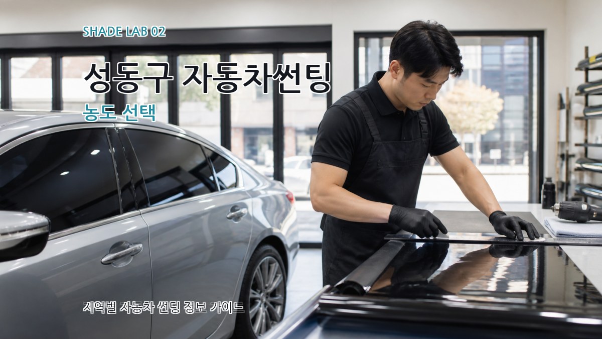 성동구 자동차썬팅 농도 선택