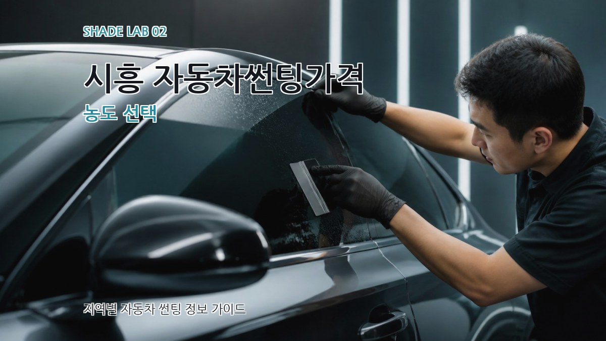 시흥 자동차썬팅가격 농도 선택