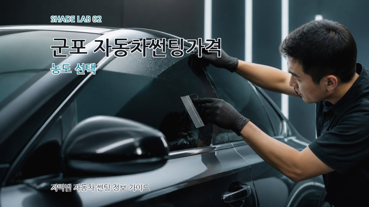 군포 자동차썬팅가격 농도 선택