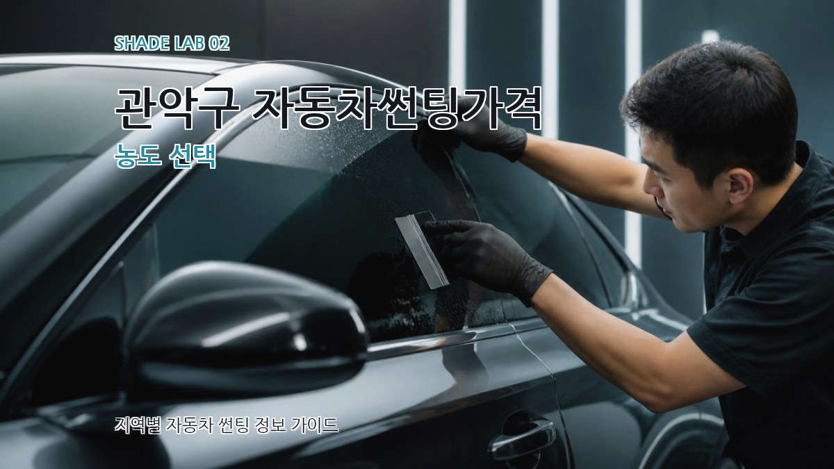 관악구 자동차썬팅가격 농도 선택