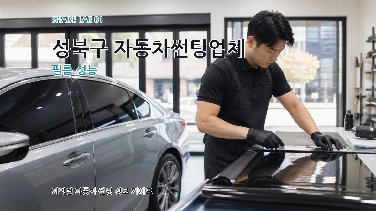 성북구 자동차썬팅업체